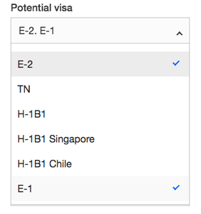 Which are the companies that sponsor the E-2 visa ?