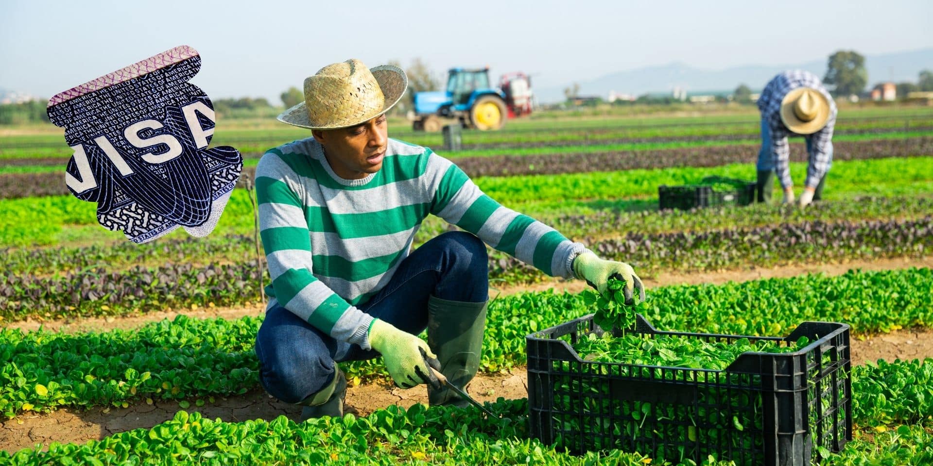 H2B and H2A Visas for seasonal workers